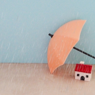 台風シーズン前に見直したい!外構のチェックポイント